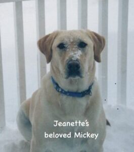 Jeanette Folletts Mickey